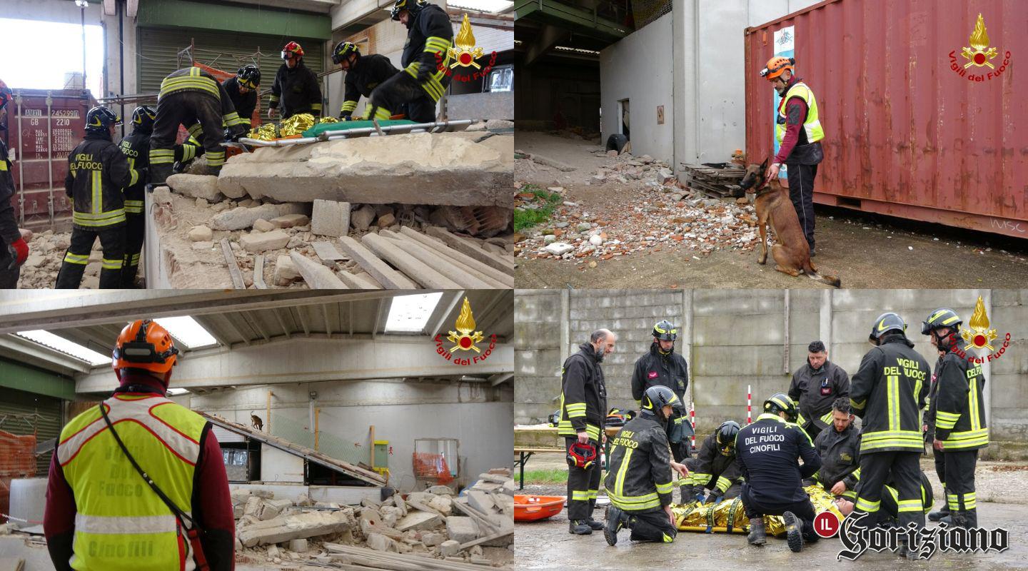 Immagine per Addestramento cani da catastrofe, vigili del fuoco in azione a Visco